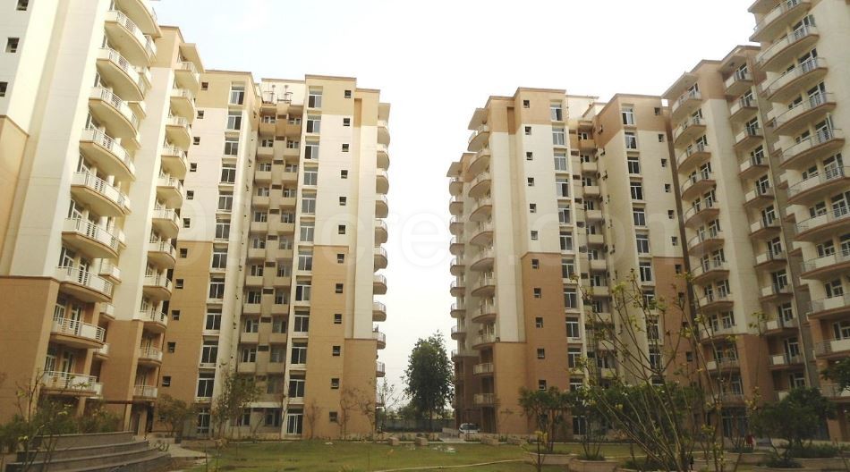 Fully Furnished Flat Sale Tulip Petals Sector 89